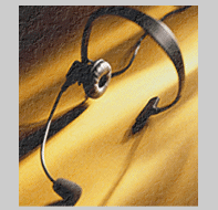 Newsletter Image